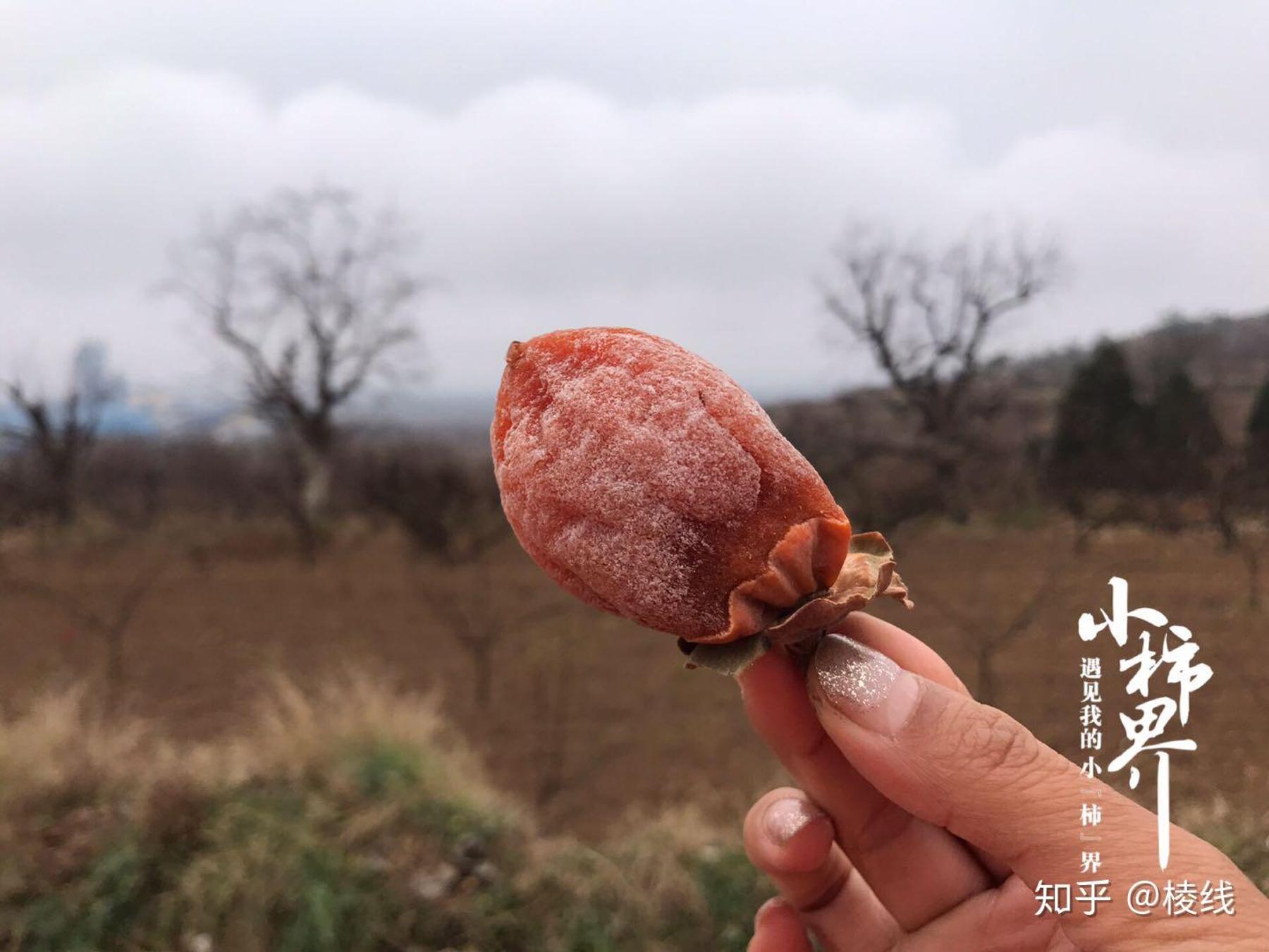 富平柿饼为什么这么贵？